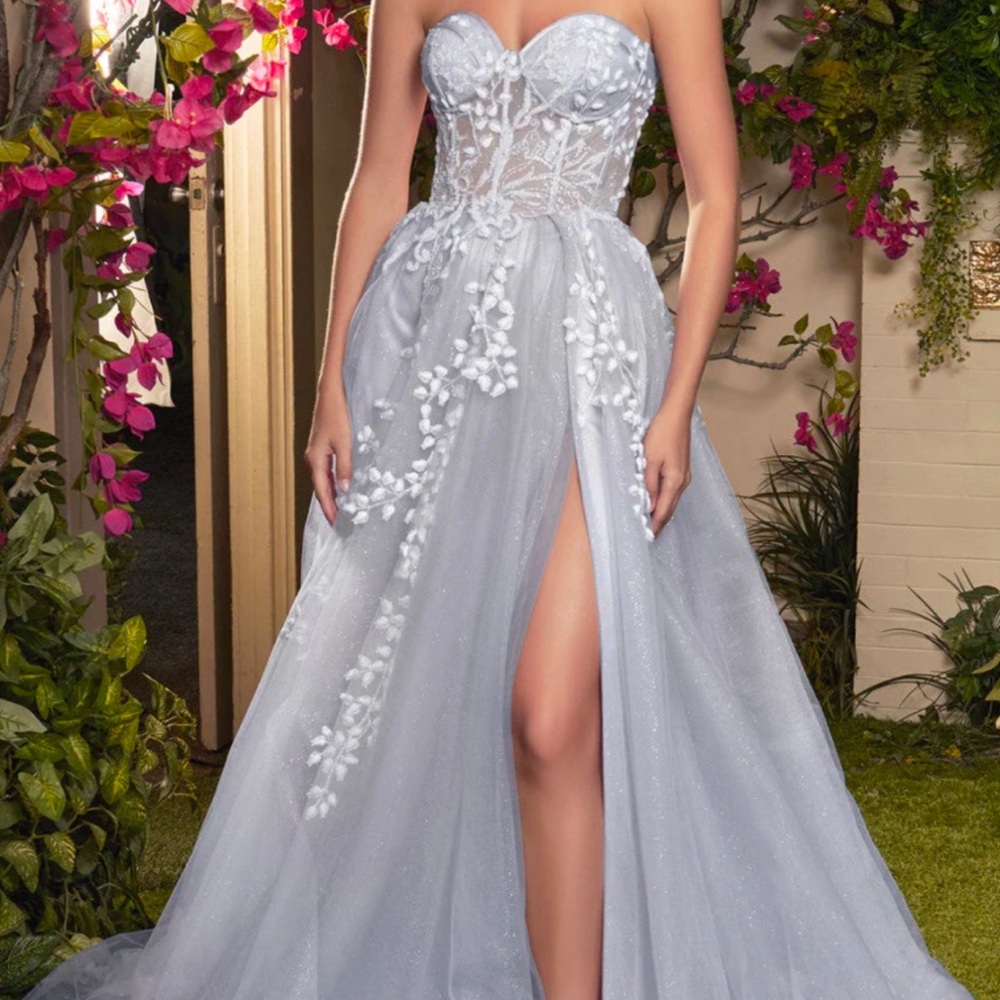 Prom Dress, Size 4, Grey, Floral, Glittery, Corset top